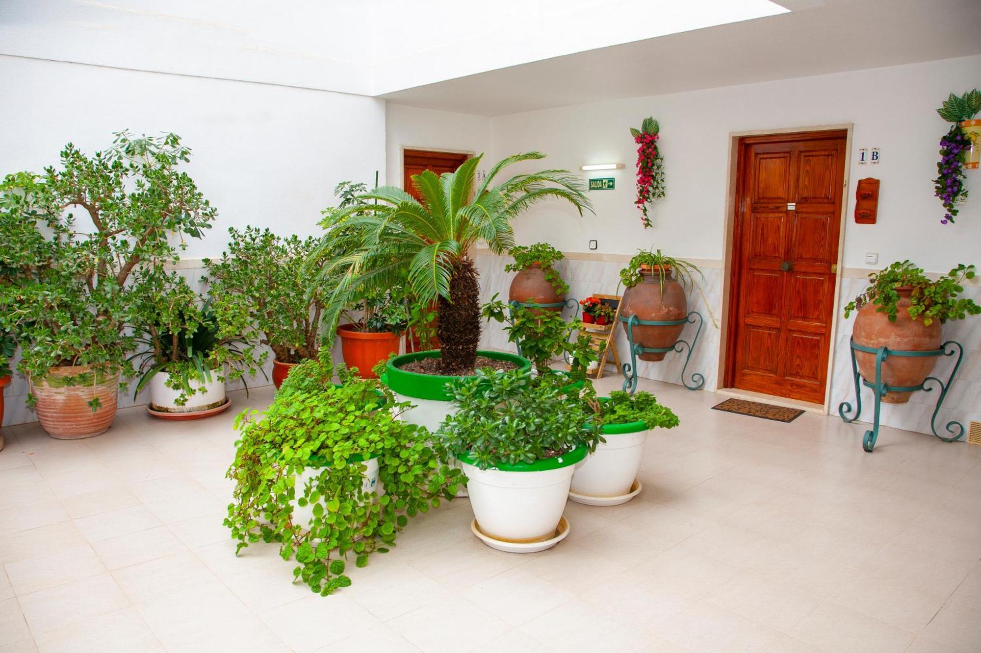 Atalaya Bosque Apartamentos Peguera Exteriör bild